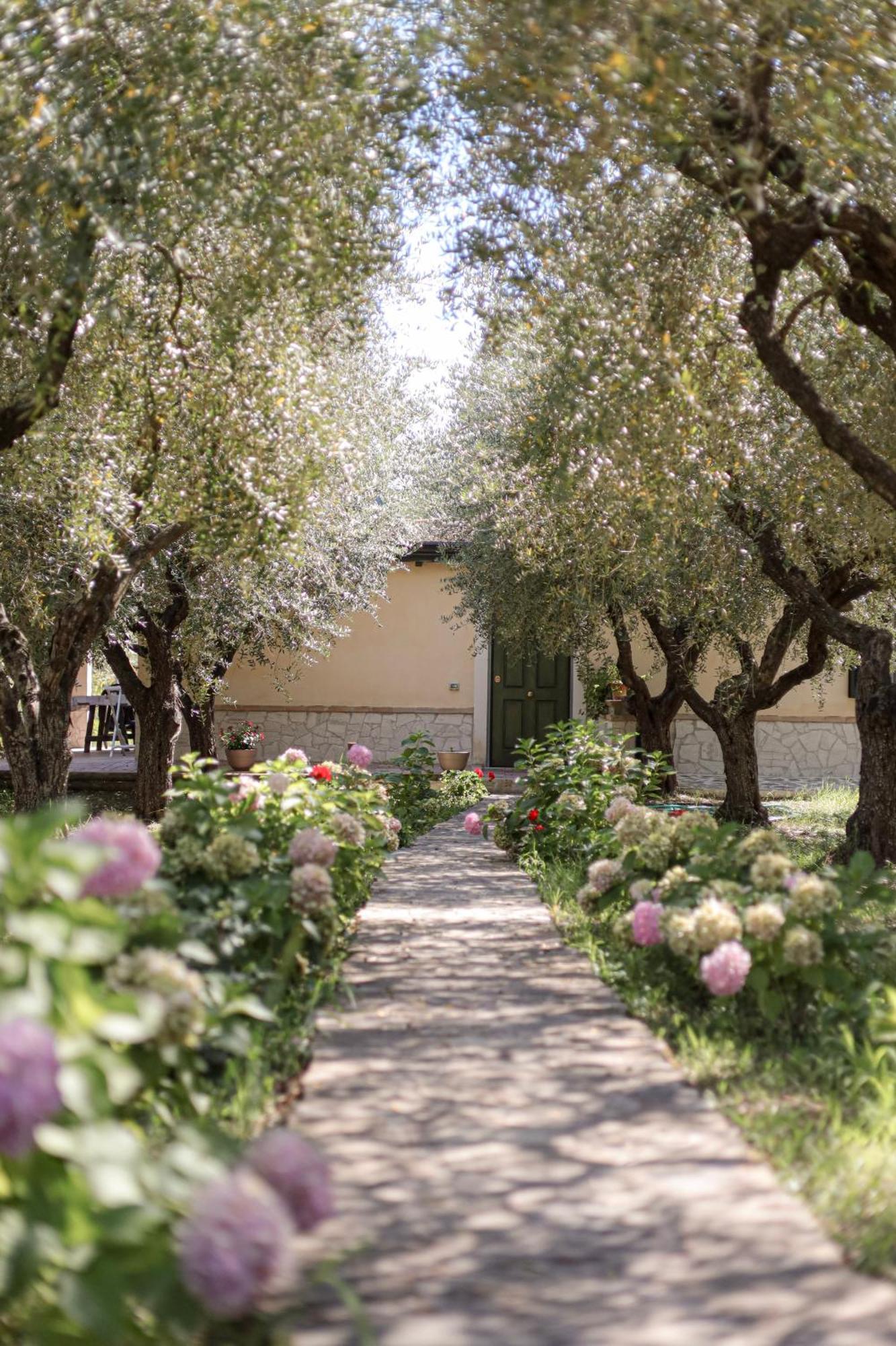 Agriturismo Il Pozzo Casal Velino Zewnętrze zdjęcie
